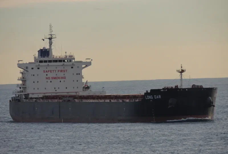 OCEAN ROSEMARY Bulk Carrier IMO 9592070 photo 9
