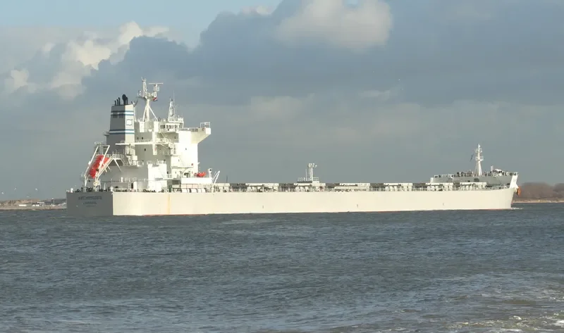 PLATANOS Bulk Carrier IMO 9592135 photo 5