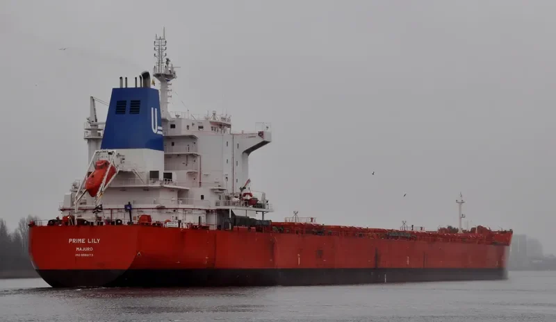 EVMILOS Bulk Carrier IMO 9592173 photo 8