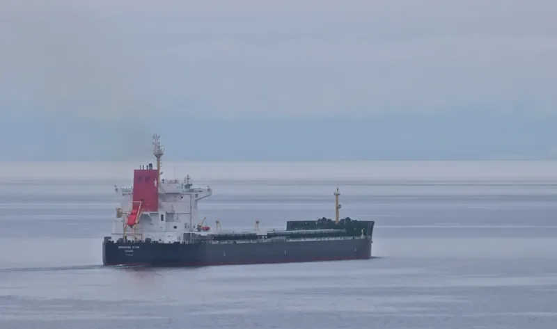 DONGHAE STAR Bulk Carrier IMO 9592604 photo 4