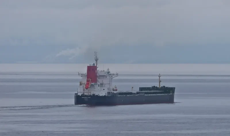 DONGHAE STAR Bulk Carrier IMO 9592604 photo 7