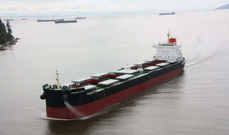 DONGHAE STAR Bulk Carrier IMO 9592604 photo 10
