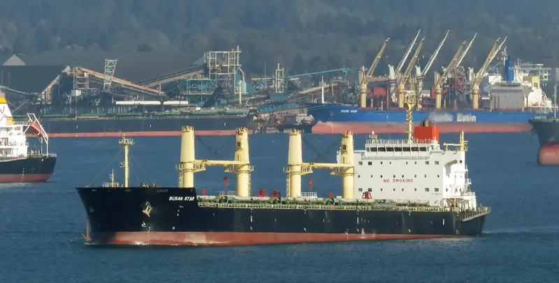 BUSAN STAR Bulk Carrier IMO 9592628
