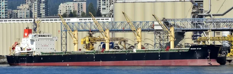 BUSAN STAR Bulk Carrier IMO 9592628 photo 2