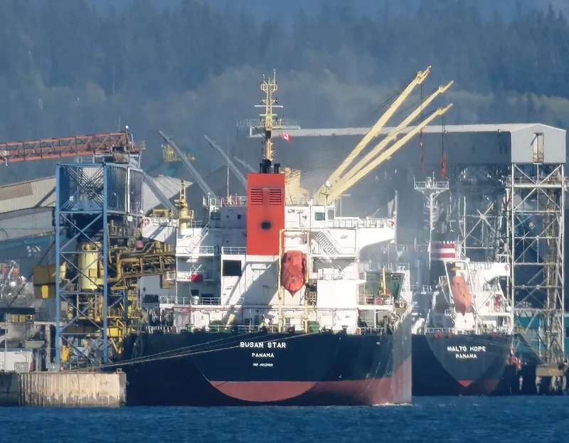 BUSAN STAR Bulk Carrier IMO 9592628 photo 3
