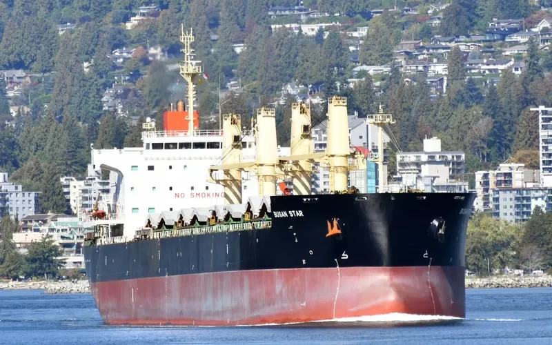BUSAN STAR Bulk Carrier IMO 9592628 photo 5