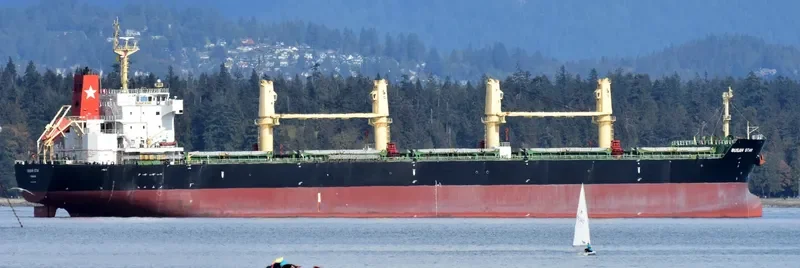 BUSAN STAR Bulk Carrier IMO 9592628 photo 6