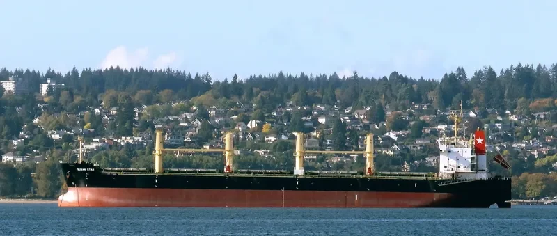 BUSAN STAR Bulk Carrier IMO 9592628 photo 8