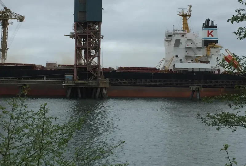 JOHN M CARRAS Bulk Carrier IMO 9592707 photo 5