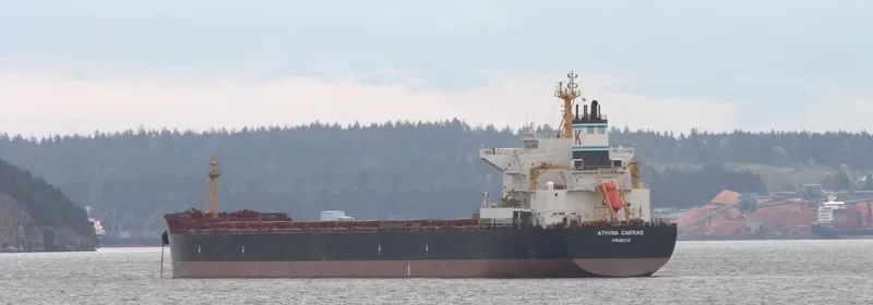 ATHINA CARRAS Bulk Carrier IMO 9592719