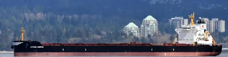 ATHINA CARRAS Bulk Carrier IMO 9592719 photo 8