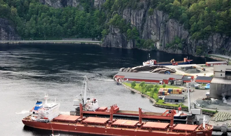 AVIONA Bulk Carrier IMO 9592745