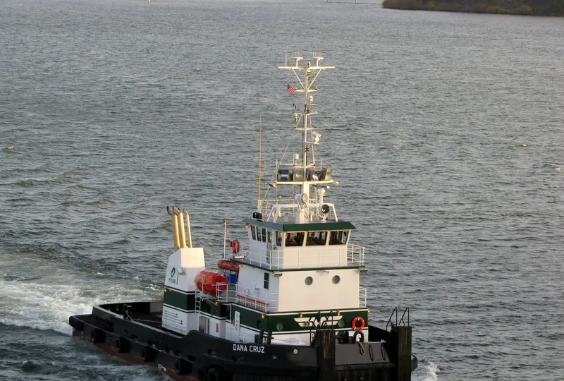 DANA CRUZ General Cargo IMO 9592769 photo 2