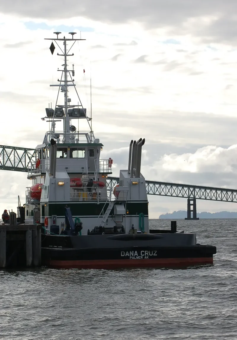 DANA CRUZ General Cargo IMO 9592769 photo 3