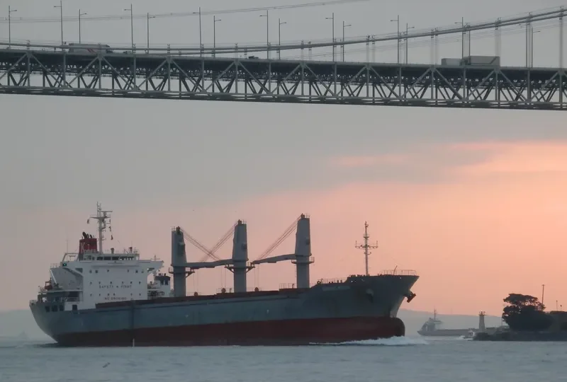 GHANTOUT Bulk Carrier IMO 9592898 photo 29