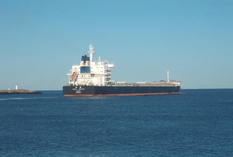 CEMTEX CREATION Bulk Carrier IMO 9593036 photo 3