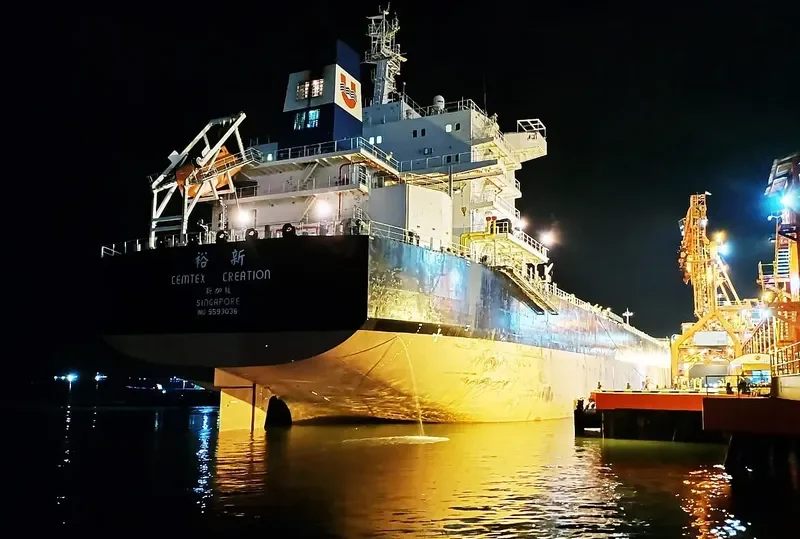 CEMTEX CREATION Bulk Carrier IMO 9593036 photo 6