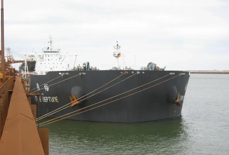 CAPE NEPTUNE Bulk Carrier IMO 9593074 photo 2