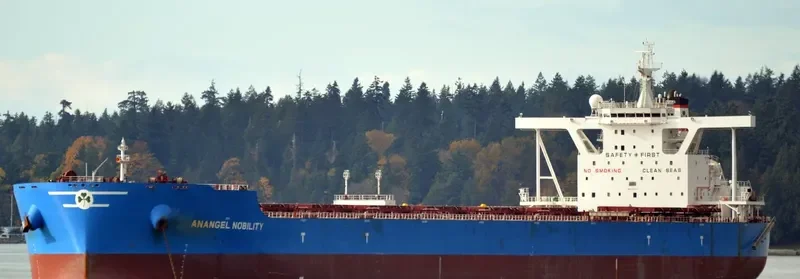 MARAN NOBILITY Bulk Carrier IMO 9593220 photo 4