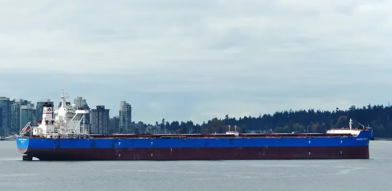 MARAN NOBILITY Bulk Carrier IMO 9593220 photo 8