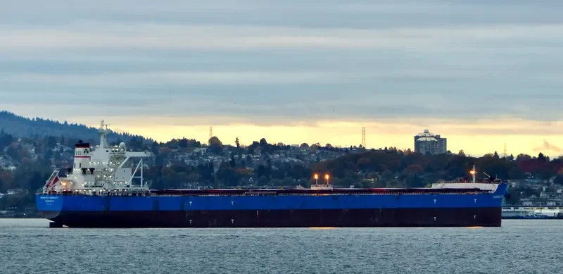 MARAN NOBILITY Bulk Carrier IMO 9593220 photo 9