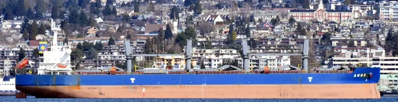 ANNE Bulk Carrier IMO 9593294 photo 3