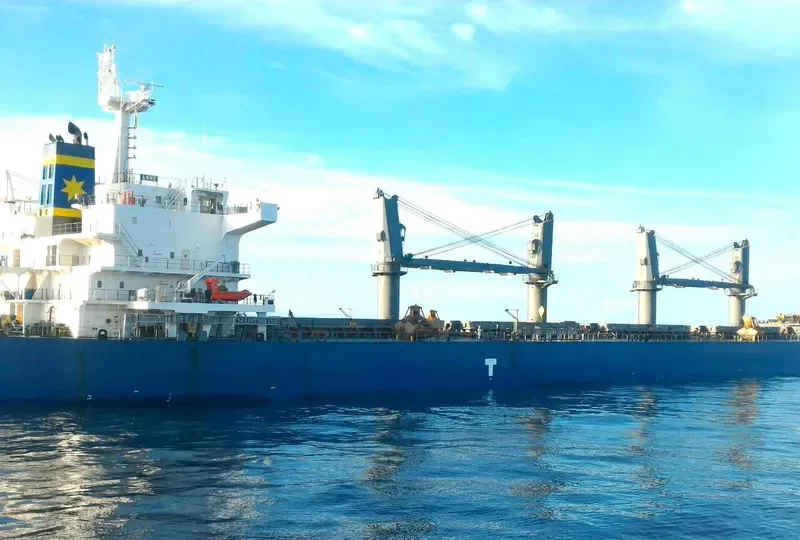 ANNE Bulk Carrier IMO 9593294 photo 6