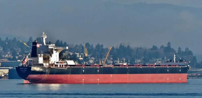 CAPE ASIA Bulk Carrier IMO 9593309 photo 4