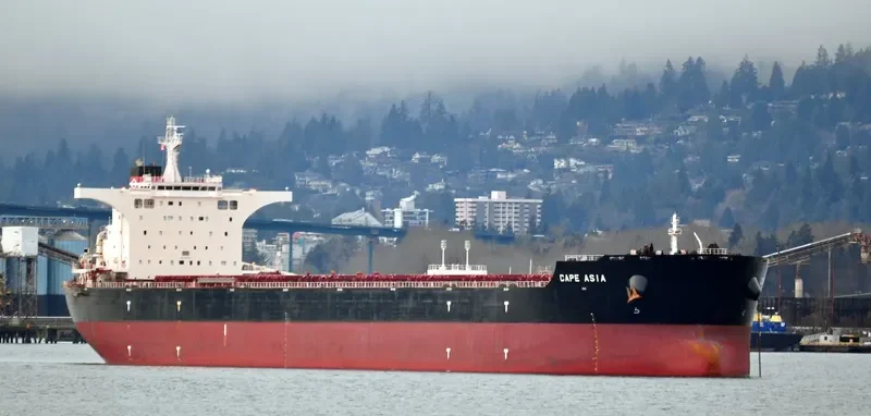 CAPE ASIA Bulk Carrier IMO 9593309 photo 5