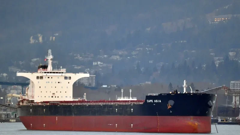 CAPE ASIA Bulk Carrier IMO 9593309 photo 7