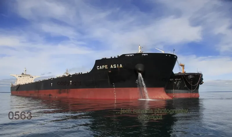CAPE ASIA Bulk Carrier IMO 9593309 photo 10