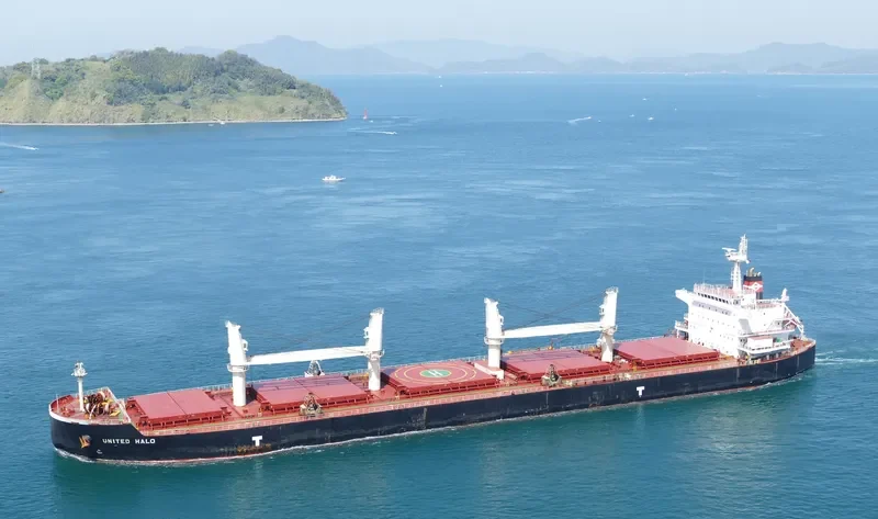 UNITED HALO Bulk Carrier IMO 9593335 photo 4