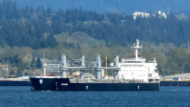 ARAMIS Bulk Carrier IMO 9593359 photo 3