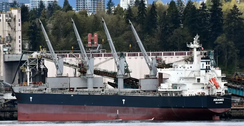 ARAMIS Bulk Carrier IMO 9593359 photo 5