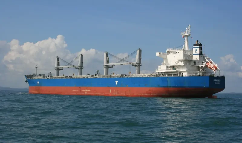 ARAMIS Bulk Carrier IMO 9593359 photo 6