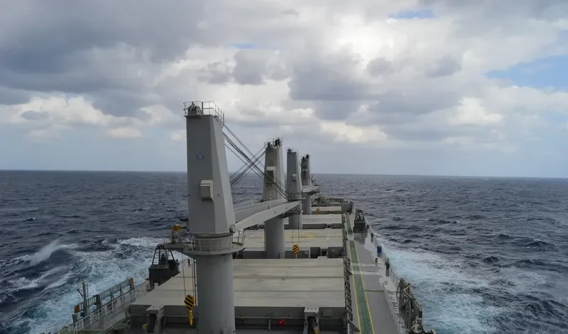 ARAMIS Bulk Carrier IMO 9593359 photo 8