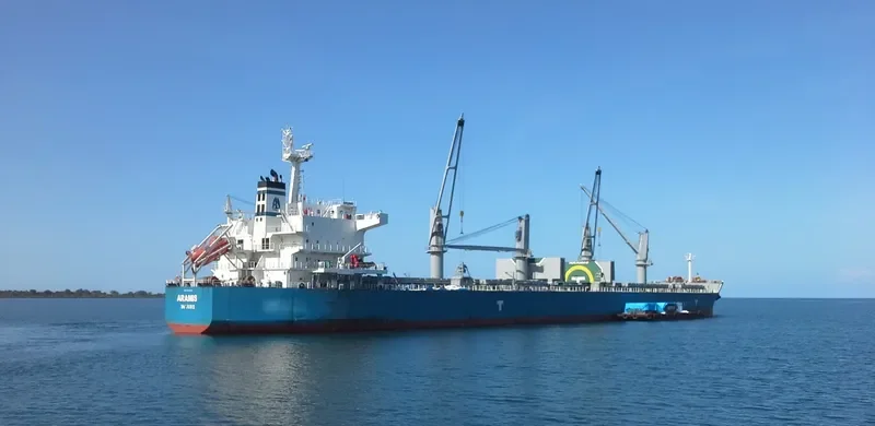 ARAMIS Bulk Carrier IMO 9593359 photo 9