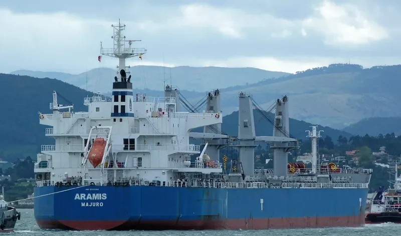 ARAMIS Bulk Carrier IMO 9593359 photo 10