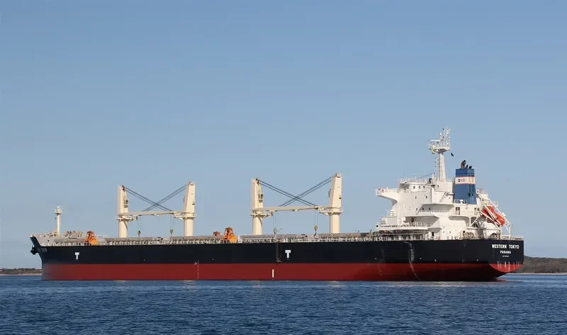 OSIOS DAVID Bulk Carrier IMO 9593361 photo 4