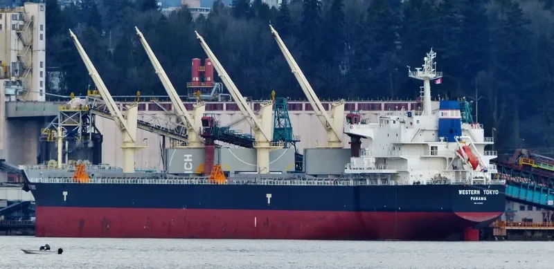 OSIOS DAVID Bulk Carrier IMO 9593361 photo 8
