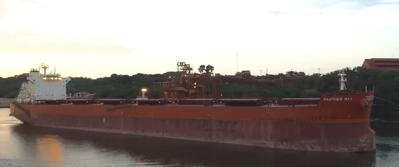 PANTHER MAX Bulk Carrier IMO 9593402 photo 2