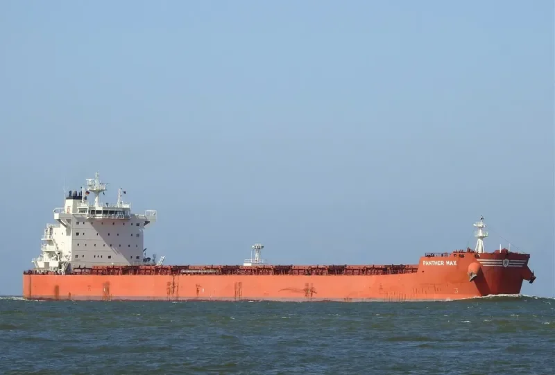 PANTHER MAX Bulk Carrier IMO 9593402 photo 3