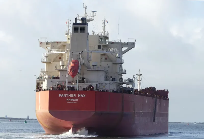 PANTHER MAX Bulk Carrier IMO 9593402 photo 4