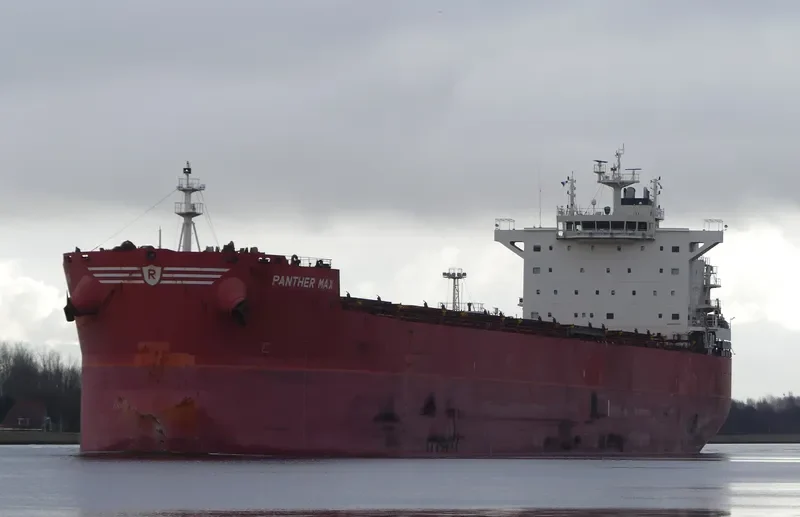 PANTHER MAX Bulk Carrier IMO 9593402 photo 6