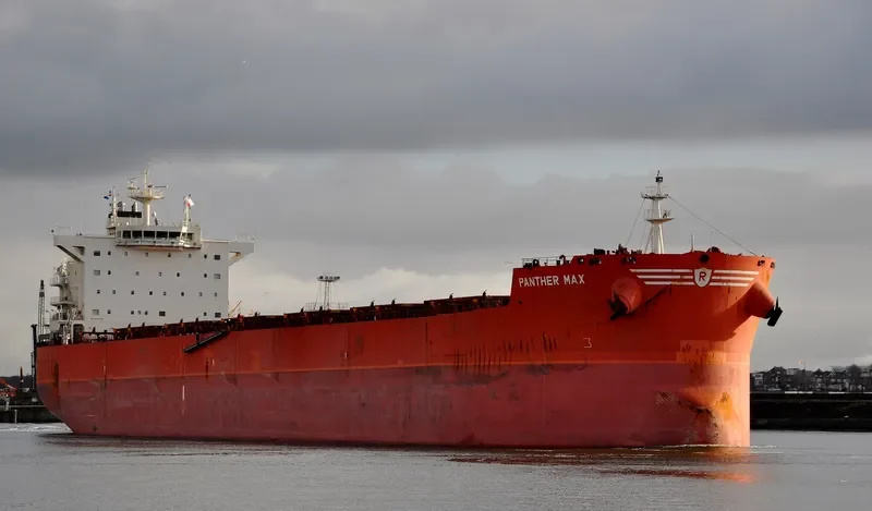 PANTHER MAX Bulk Carrier IMO 9593402 photo 8
