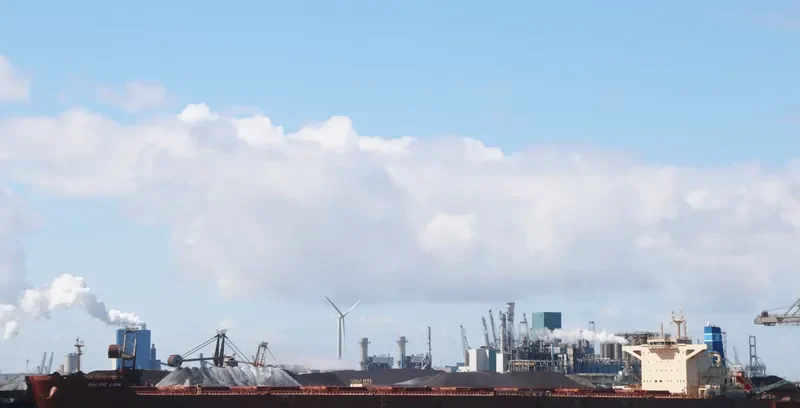BALTIC LION Bulk Carrier IMO 9593464