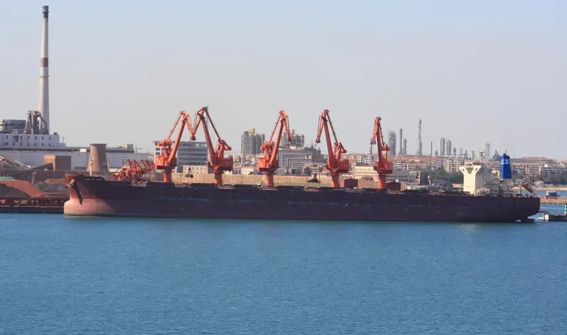 BALTIC LION Bulk Carrier IMO 9593464 photo 3