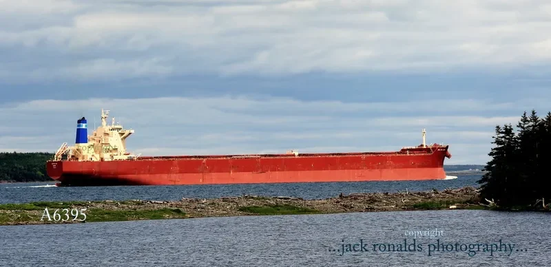 BALTIC LION Bulk Carrier IMO 9593464 photo 4