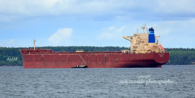 BALTIC LION Bulk Carrier IMO 9593464 photo 6