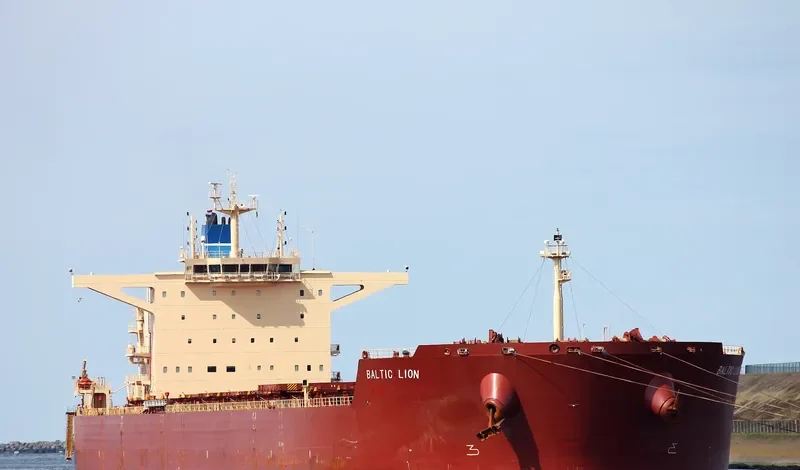 BALTIC LION Bulk Carrier IMO 9593464 photo 8